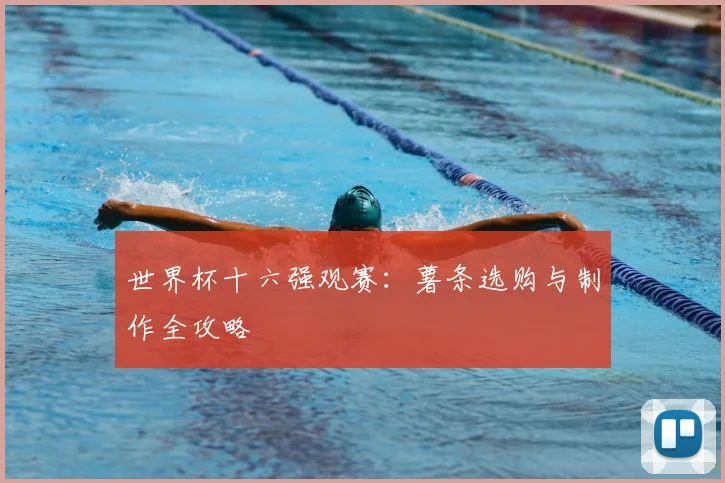 世界杯十六强观赛：薯条选购与制作全攻略