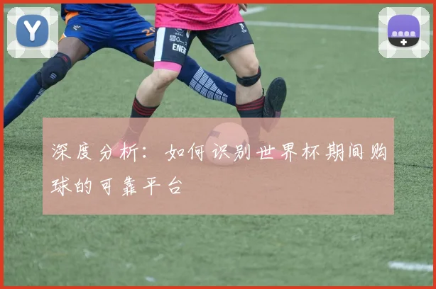 深度分析：如何识别世界杯期间购球的可靠平台