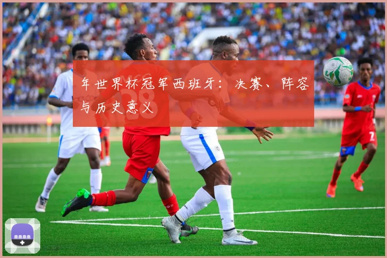 年世界杯冠军西班牙：决赛、阵容与历史意义