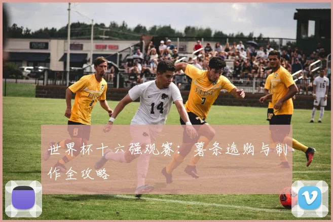 世界杯十六强观赛：薯条选购与制作全攻略